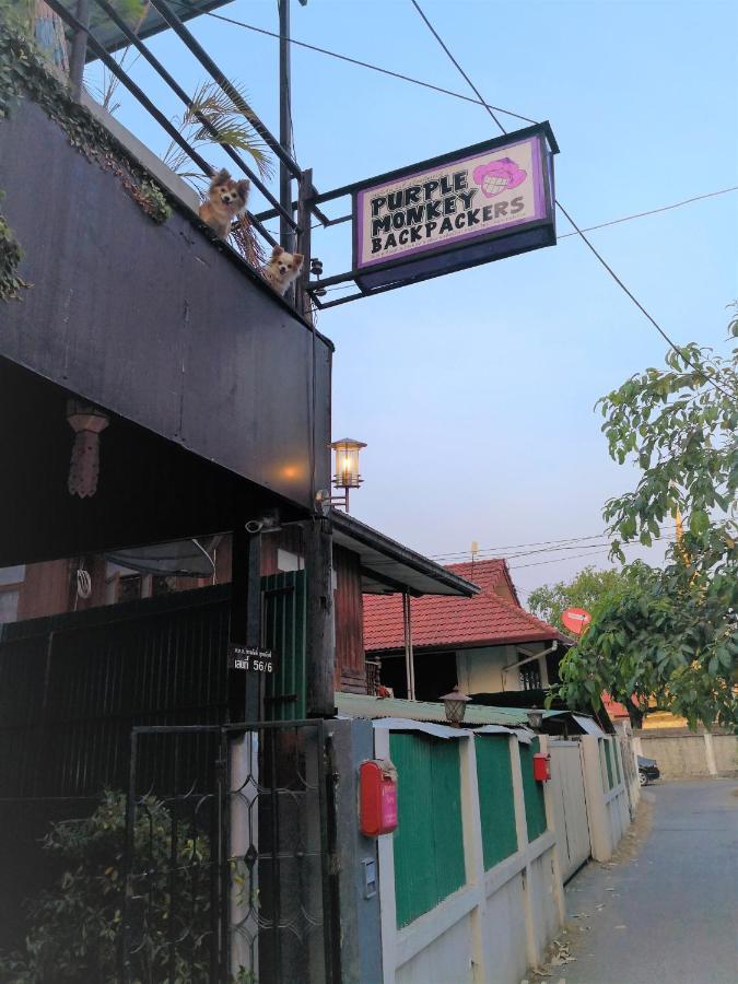 Purple Monkey Backpackers Chiang Mai 호스텔 외부 사진