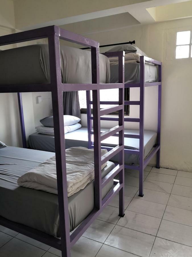 Purple Monkey Backpackers Chiang Mai 호스텔 외부 사진